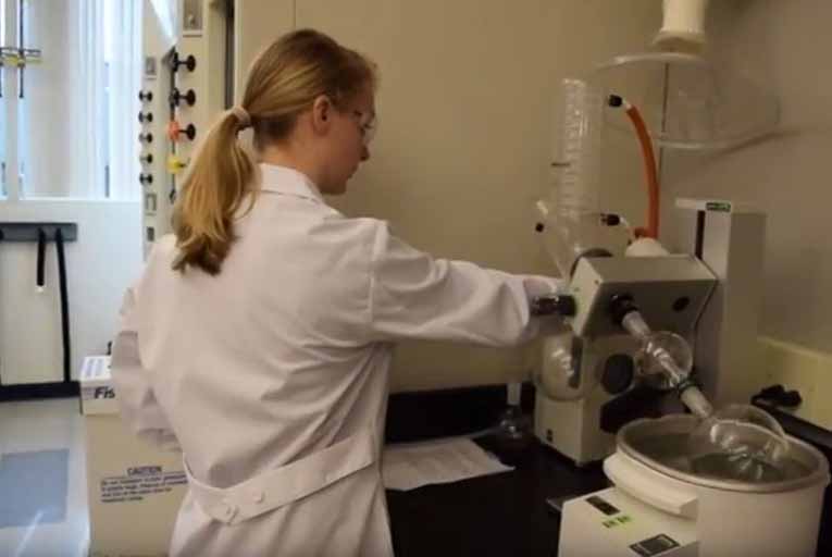 student working in environmental health lab